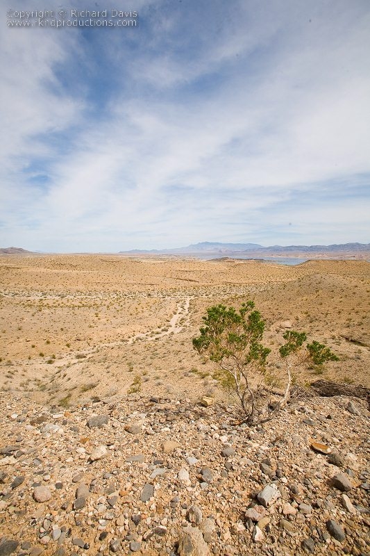 rknd_070326_2190.jpg