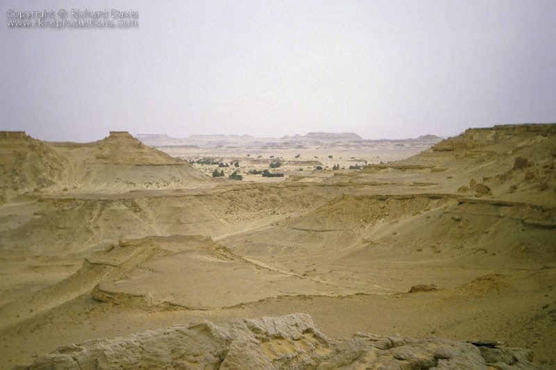 rknd_scan_00198.jpg