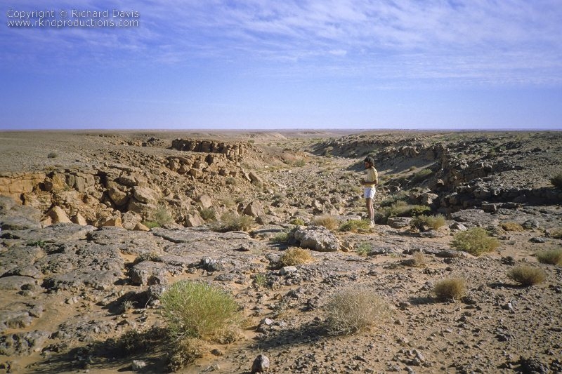 rknd_scan_00223.jpg