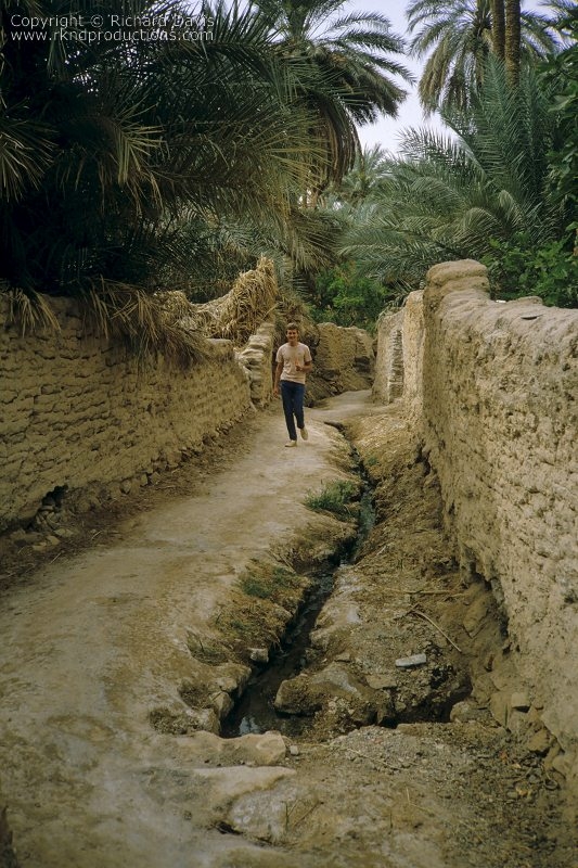 rknd_scan_00230.jpg