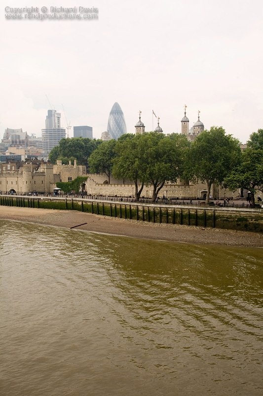 rknd_060705_7639.jpg