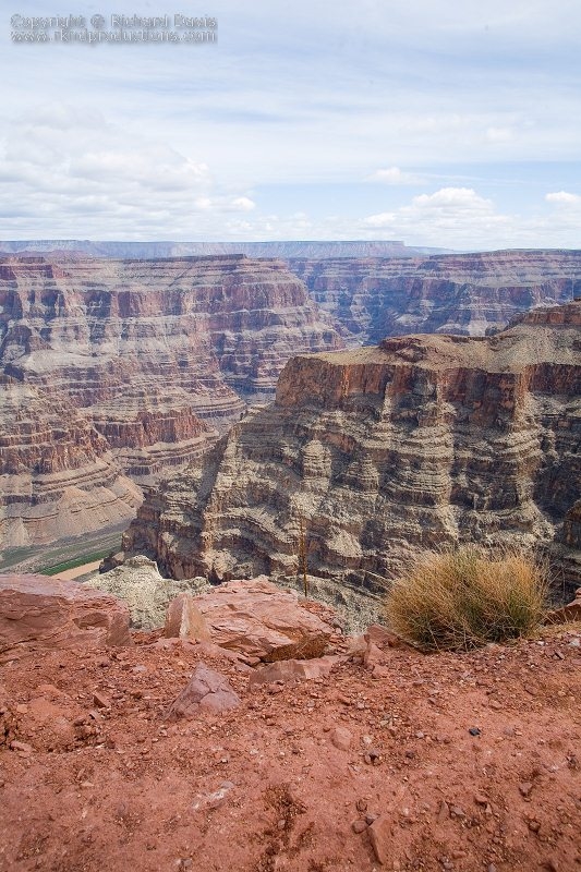 rknd_070328_2633.jpg