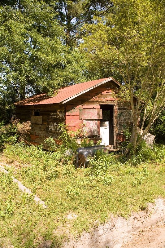 rknd_060424_0988.jpg