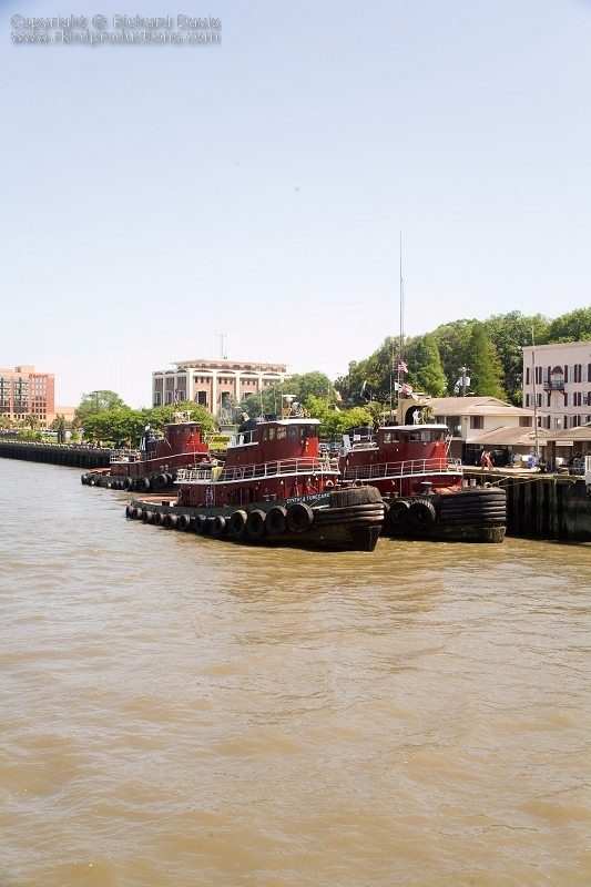 rknd_060428_1324.jpg