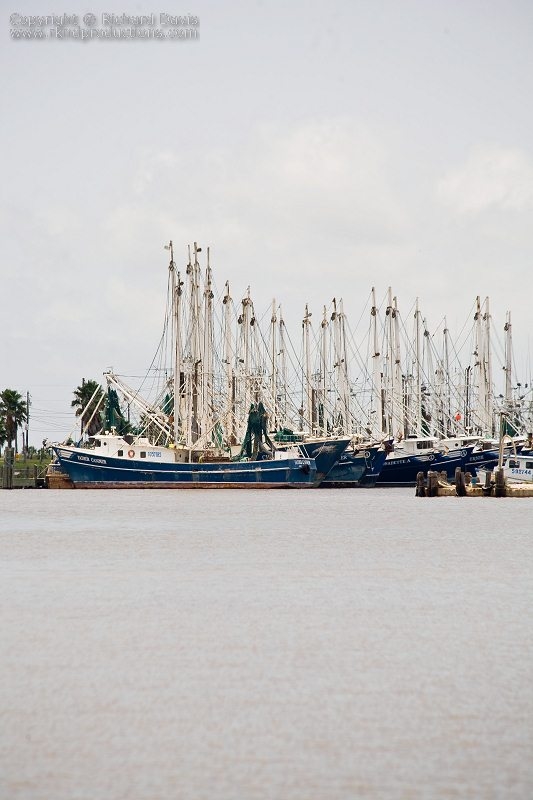 rknd_070530_5270.jpg
