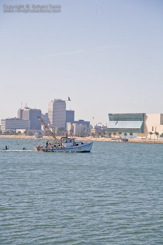 rknd_080120_9407.jpg