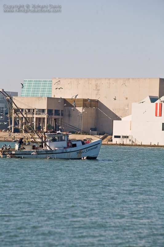 rknd_080120_9409.jpg
