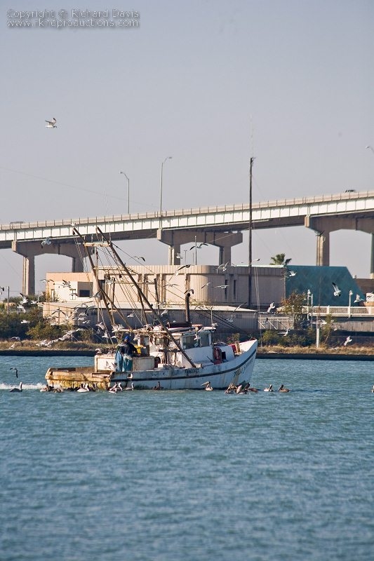 rknd_080120_9413.jpg