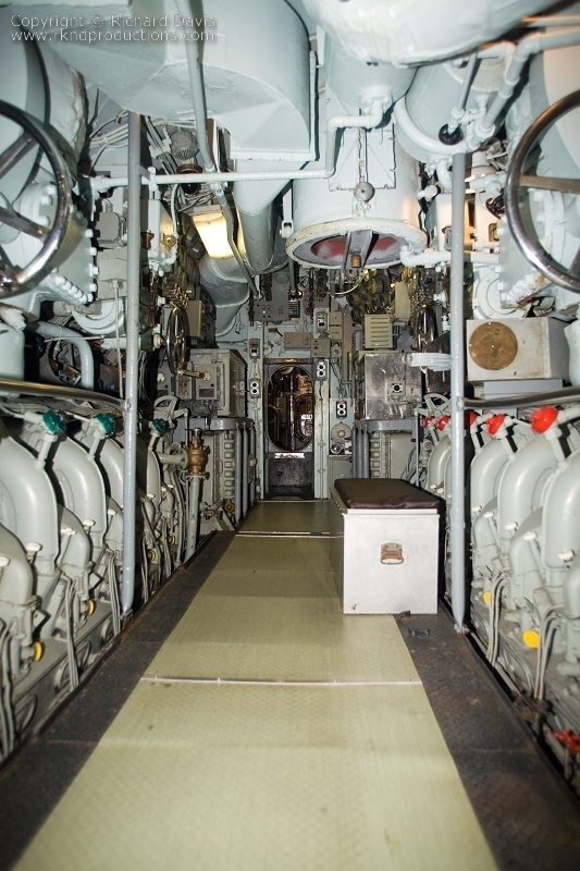 rknd_060425_1057.jpg