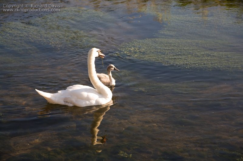rknd_060707_7902.jpg