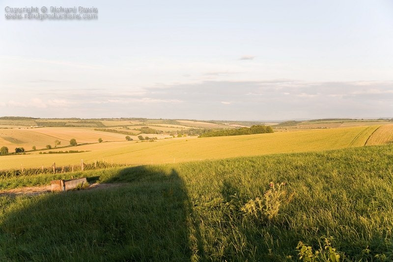 rknd_060707_7925.jpg