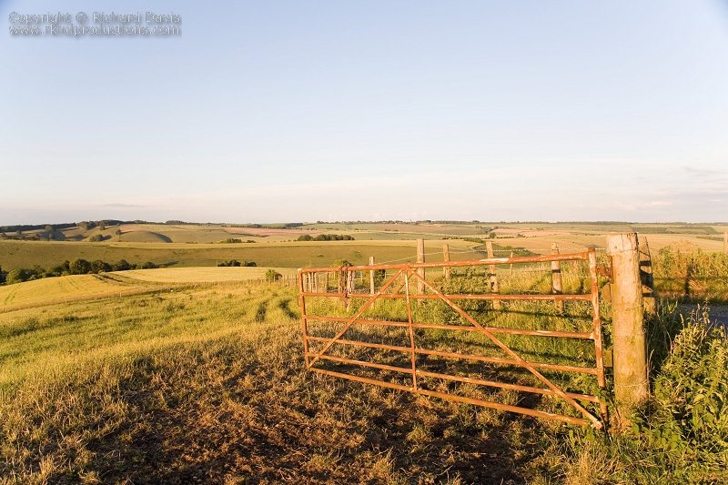 rknd_060707_7930.jpg