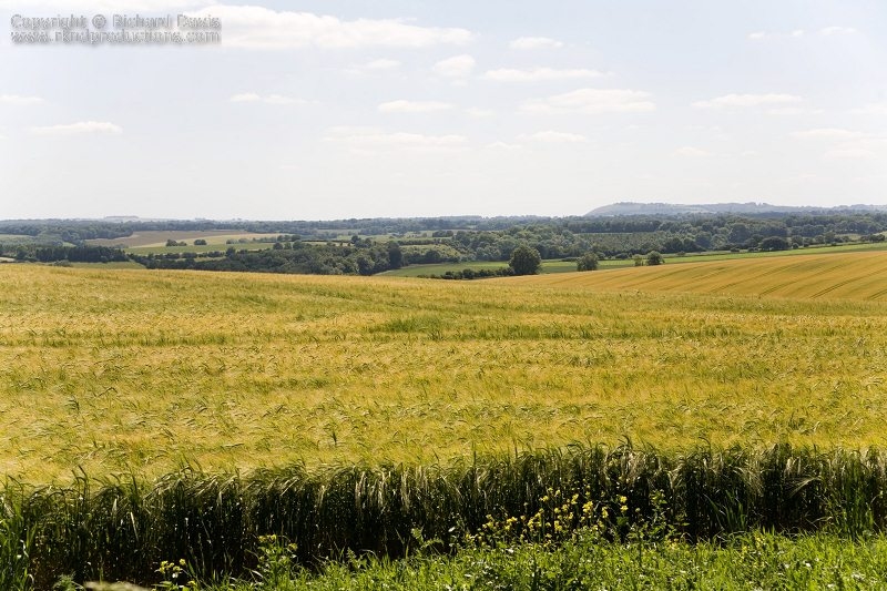 rknd_060711_8199.jpg