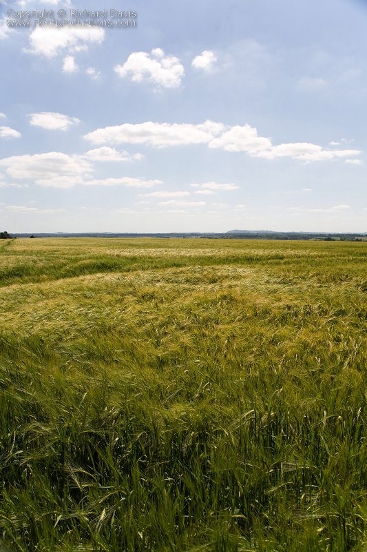 rknd_060711_8206.jpg