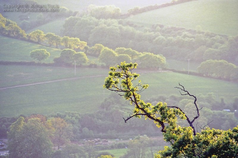 rknd_scan_00033.jpg