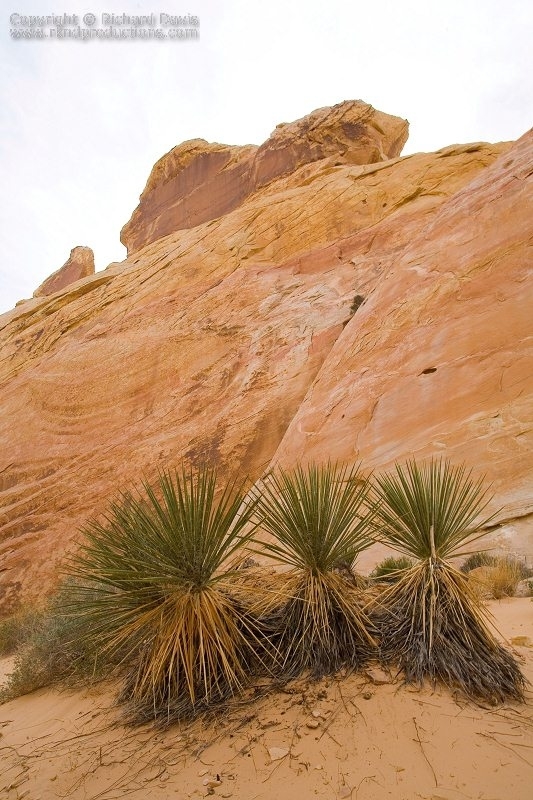 rknd_070326_2304.jpg